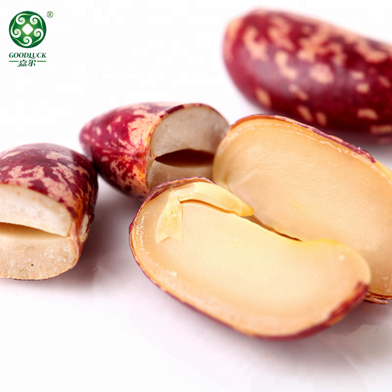 Long Shape Purple Speckled Kidney Beans,China Long Shape Purple Speckled Kidney Beans factory