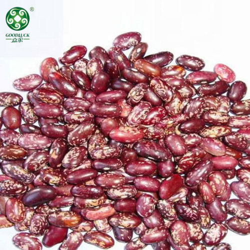 Wholesale 2021 New Crop Chinese Red Speckled Kidney Beans RSKB