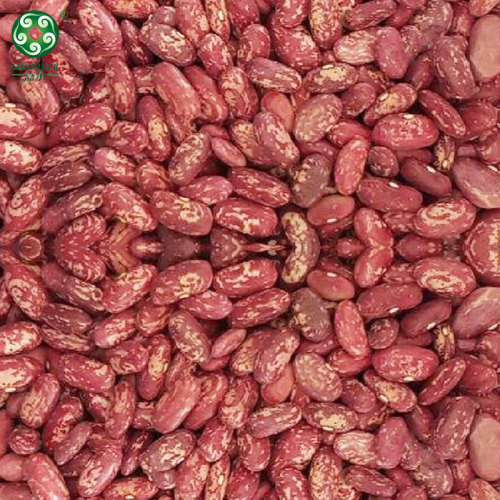 Wholesale 2021 New Crop Chinese Red Speckled Kidney Beans RSKB