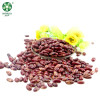 Wholesale 2021 New Crop Chinese Red Speckled Kidney Beans RSKB