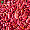 Wholesale 2021 New Crop Chinese Red Speckled Kidney Beans RSKB