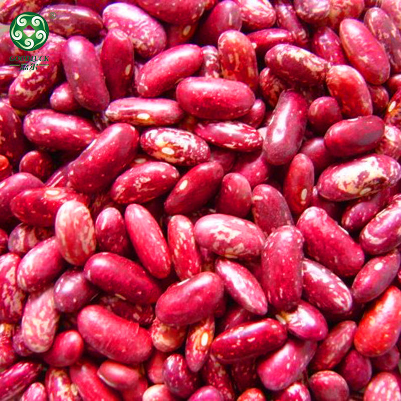 Chinese Red Speckled Kidney Beans,China Red Speckled Kidney Beans Factory Wholesale