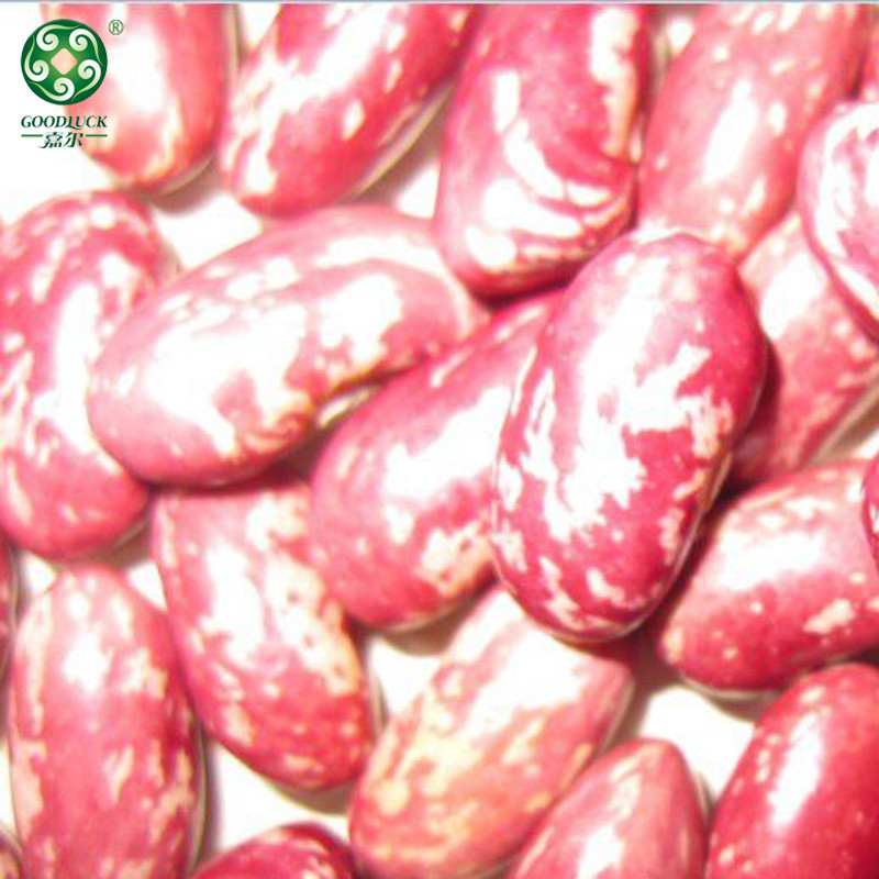 Chinese Red Speckled Kidney Beans,China Red Speckled Kidney Beans Factory Wholesale