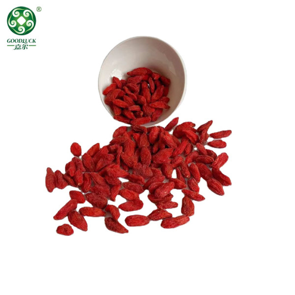 Hot Sale Natural Goji Wolfberry Supplied By Professional Manufacturer