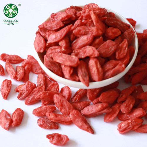 Hot Sale Natural Goji Wolfberry Supplied By Professional Manufacturer