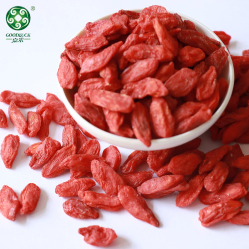 حار بيع الطبيعية Goji Wolfberry المقدمة من قبل الشركة المصنعة المهنية