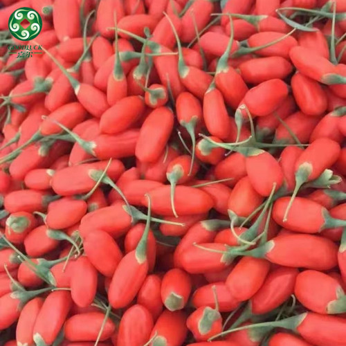 حار بيع الطبيعية Goji Wolfberry المقدمة من قبل الشركة المصنعة المهنية