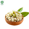 China wholesale roasted salted pistachio nuts with or without shell