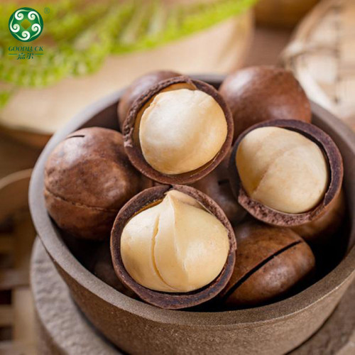 Macadamia Nuts | Factory Bulk Fresh Vacuum Carton Natural Creamy Tasty Macadamia Nuts