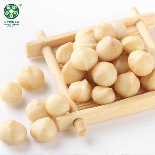 Macadamia Nuts | Factory Bulk Fresh Vacuum Carton Natural Creamy Tasty Macadamia Nuts