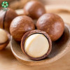 Factory Bulk Fresh Vacuum Carton Natural Creamy Tasty Macadamia Nuts
