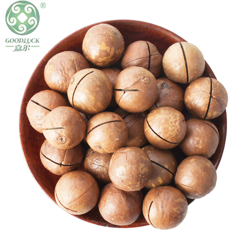 Natural Creamy Tasty Macadamia Nuts,Macadamia Nuts Vacuum Carton,Macadamia Nuts customized package,Factory Bulk Fresh Macadamia Nuts,Macadamia Nuts China supplier