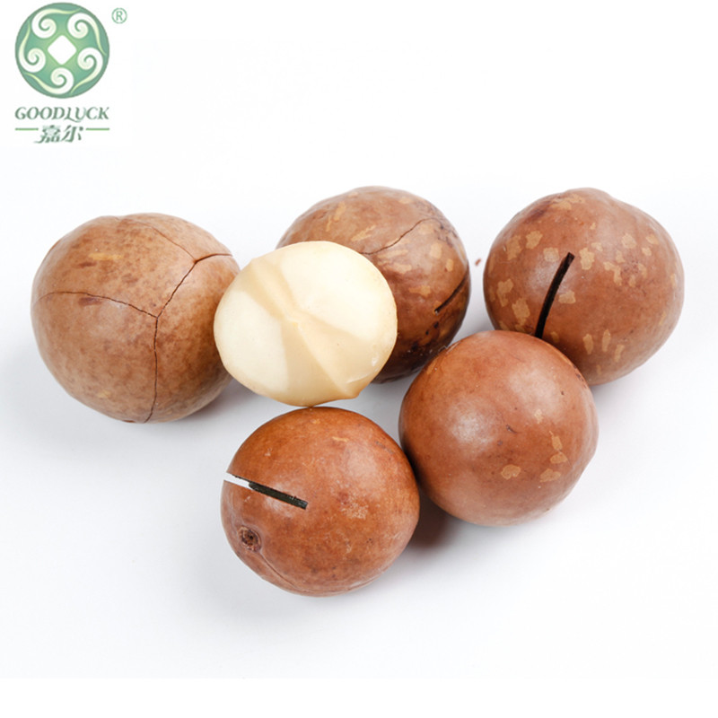 Natural Creamy Tasty Macadamia Nuts,Macadamia Nuts Vacuum Carton,Macadamia Nuts customized package,Factory Bulk Fresh Macadamia Nuts,Macadamia Nuts China supplier