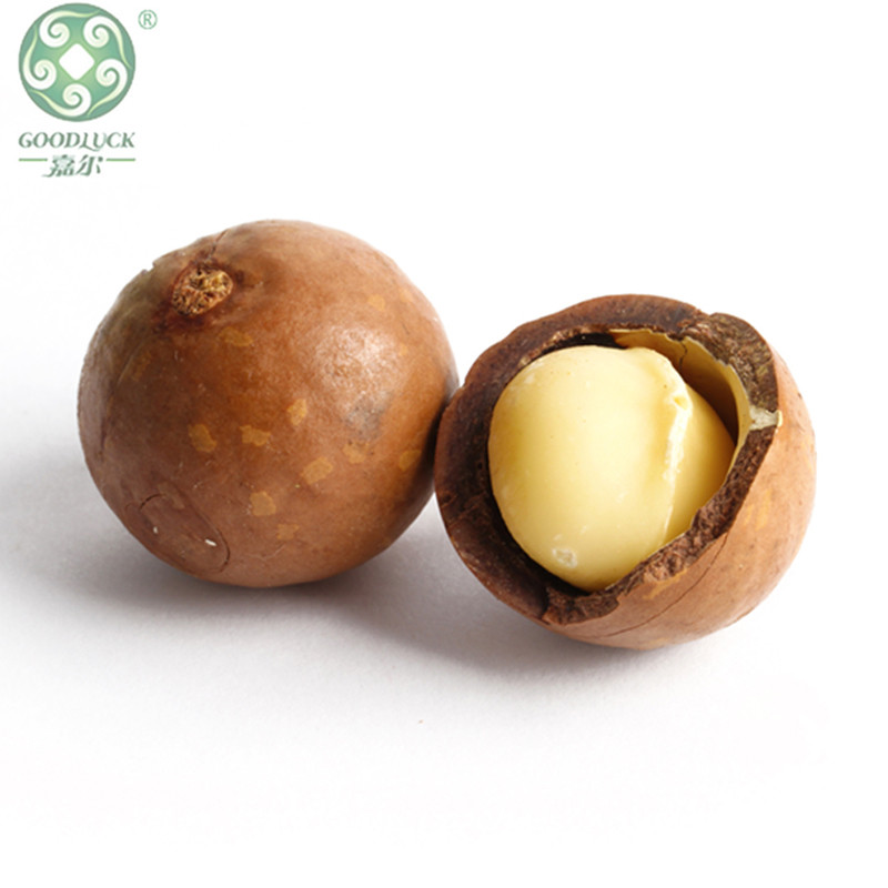 Natural Creamy Tasty Macadamia Nuts,Macadamia Nuts Vacuum Carton,Macadamia Nuts customized package,Factory Bulk Fresh Macadamia Nuts,Macadamia Nuts China supplier