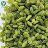 Wholesale Green Raisins Dried Fruit Worldwide Bulk Supply From China