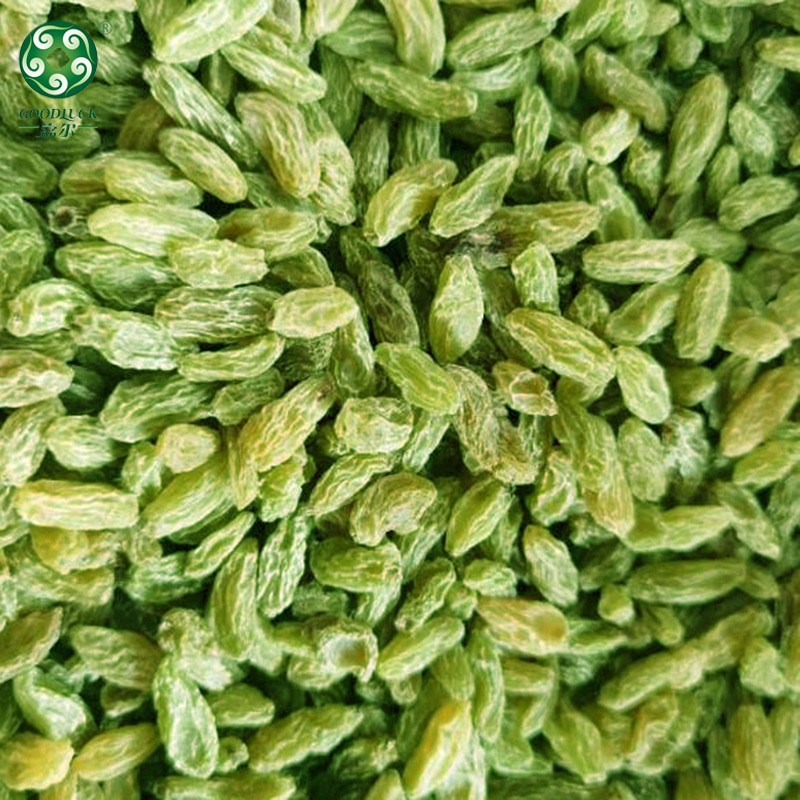 Green Raisins Wholesale Price,Green Raisins Factory supplier,Green Raisins manufacturer