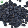 Black Raisins | Quality Manufacturer's Bulk Dried Black Raisins At Wholesale Price