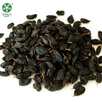 Black Raisins | Quality Manufacturer's Bulk Dried Black Raisins At Wholesale Price