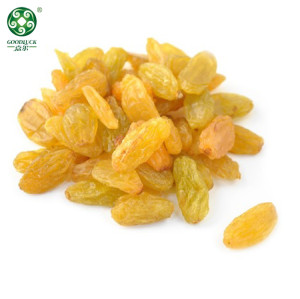 Wholesale Golden Raisins | China Manufacture Dried Grapes And Golden Raisins In Bulk For EXPO