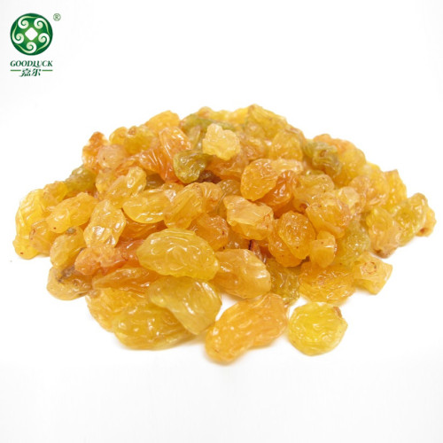 Golden Raisins Supplied By Manufacturer Have A Wholesale Price