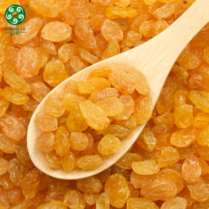 Wholesale Golden Raisins | China Manufacture Dried Grapes And Golden Raisins In Bulk For EXPO