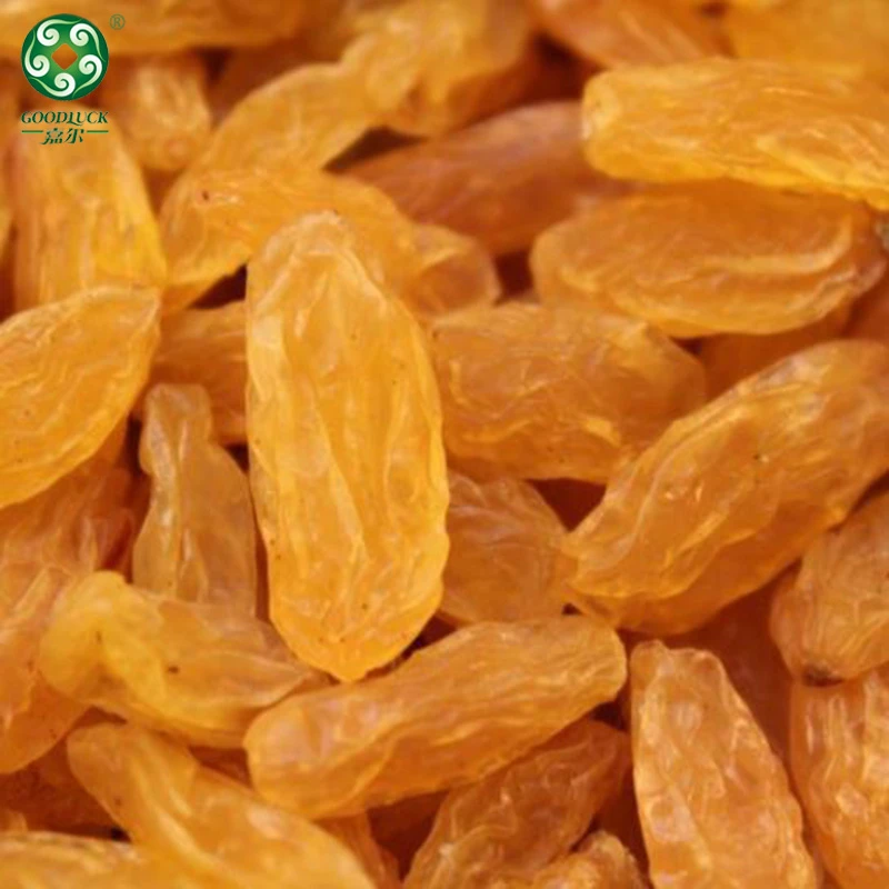 factory supply wholesale golden raisin,Golden raisins