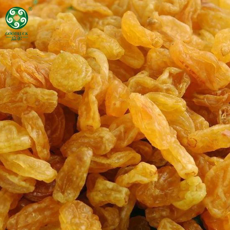 factory supply wholesale golden raisin,Golden raisins