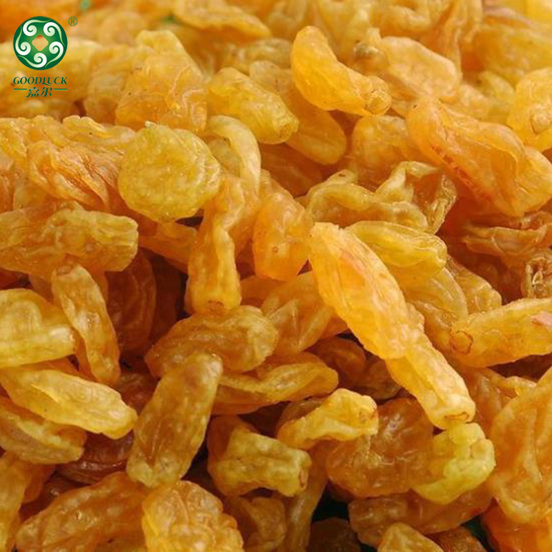 factory supply wholesale golden raisin