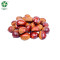 Wholesale Chestnuts In Shell With Large Kernel Rate Have Customized Service