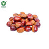 Wholesale Chestnuts In Shell With Large Kernel Rate Have Customized Service