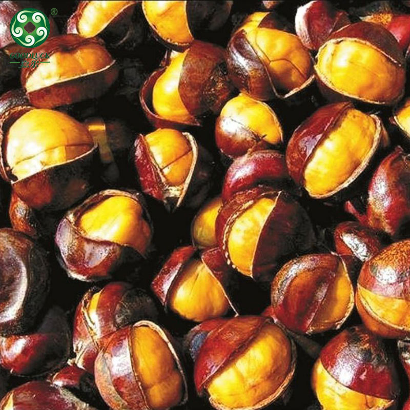 Wholesale chestnuts,Wholesale Chestnuts In Shell,Chines chestnuts Factory