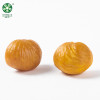 Nut Food Peeling Chestnuts Peeled Chestnut Snack Kernels with Wholesale Price