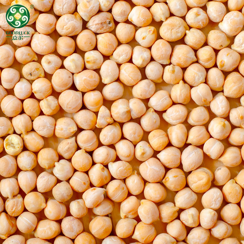 Wholesale chickpeas,Chinese chickpeas, Raw chickpeas