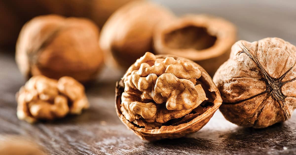 the nutrient ingredients and functions of walnuts,shelled walnuts wholesaler china factory supplier