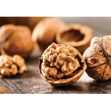 What Nutrients Are Found in Walnuts?