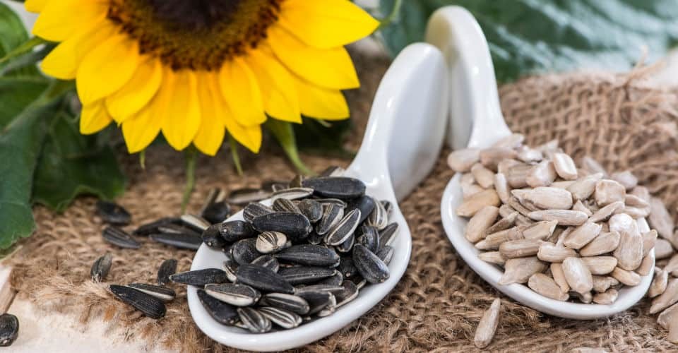 the benefits of sunflower seeds for human health