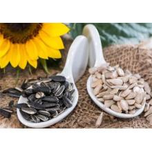 What Are the Significant Effects of Sunflower Seeds?