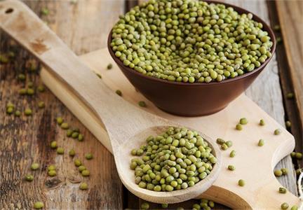 What Are the Effects and Functions of Mung Beans?