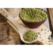 What Are the Effects and Functions of Mung Beans?