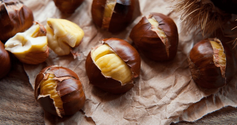the nutrients and nutritional value of chestnuts,Chestnut Manufacturer Factory Wholesale