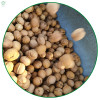 Whole walnuts in shell | New crop walnuts supplied by factories