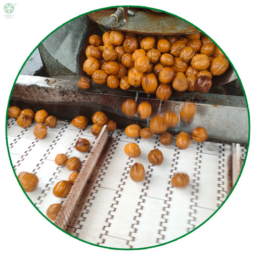 Whole walnuts in shell | New crop walnuts supplied by factories