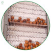 Whole walnuts in shell | New crop walnuts supplied by factories