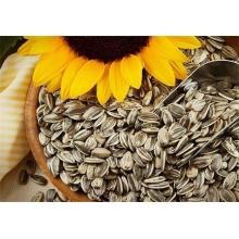 How Are Sunflower Seeds Made?