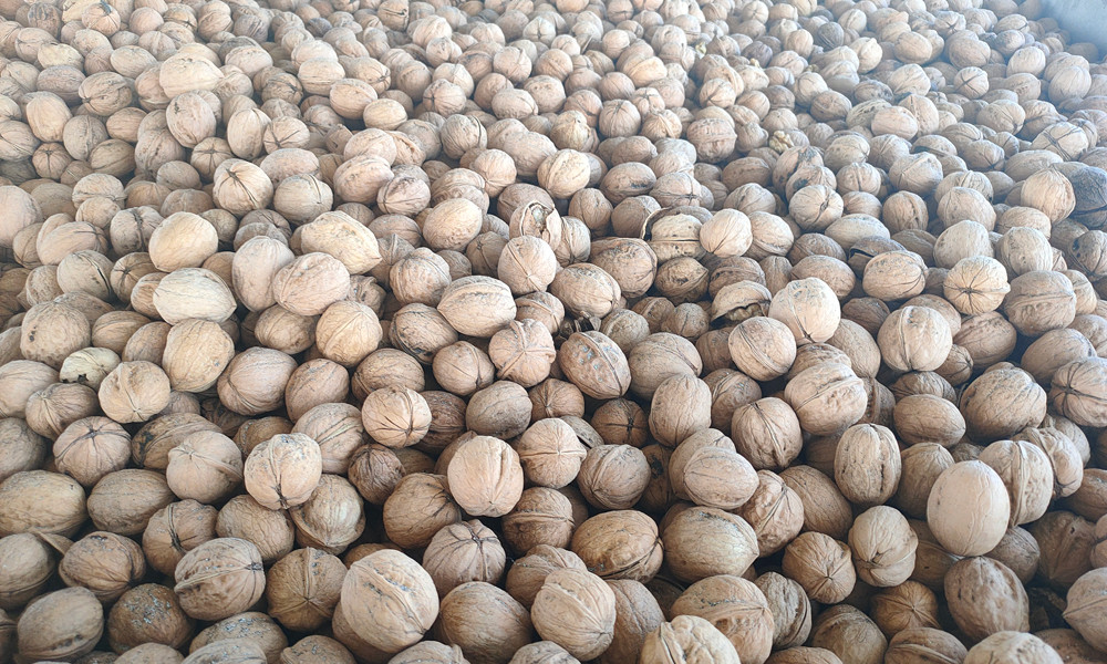 the nutrients of pistachios,GOODLUCK Walnut Factory