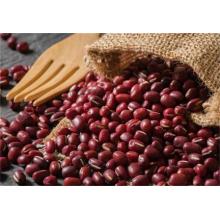 What Are the Nutritional Ingredients and Functions of Red Beans?
