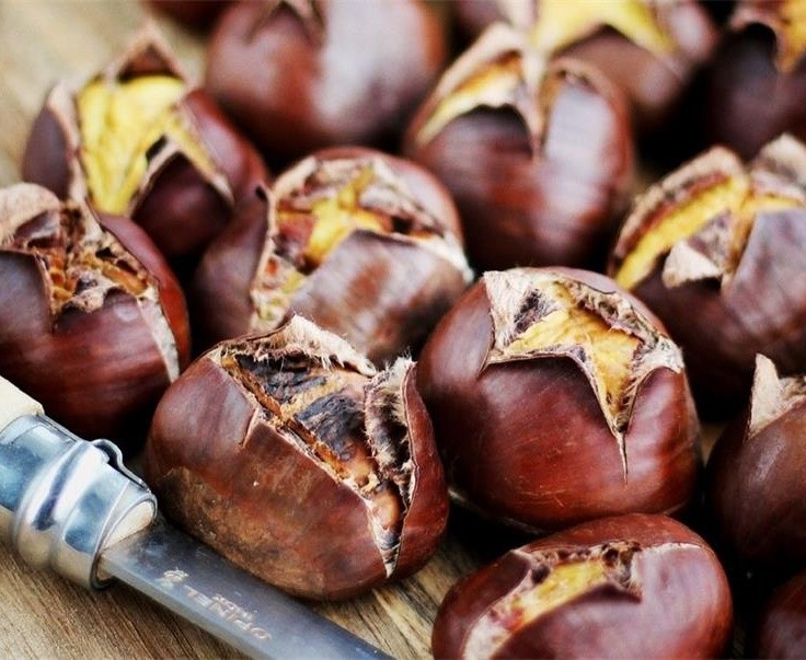 What Are the Precautions for Eating Chestnuts?