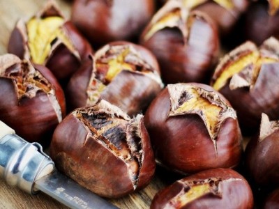 Quelles sont les précautions à prendre pour manger des châtaignes ?