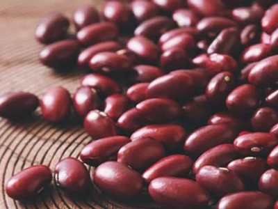 Quels sont les avantages pour la santé de manger régulièrement des haricots rouges ?