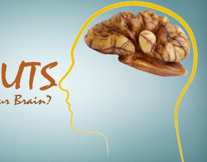Are Walnuts Good for Your Brain?